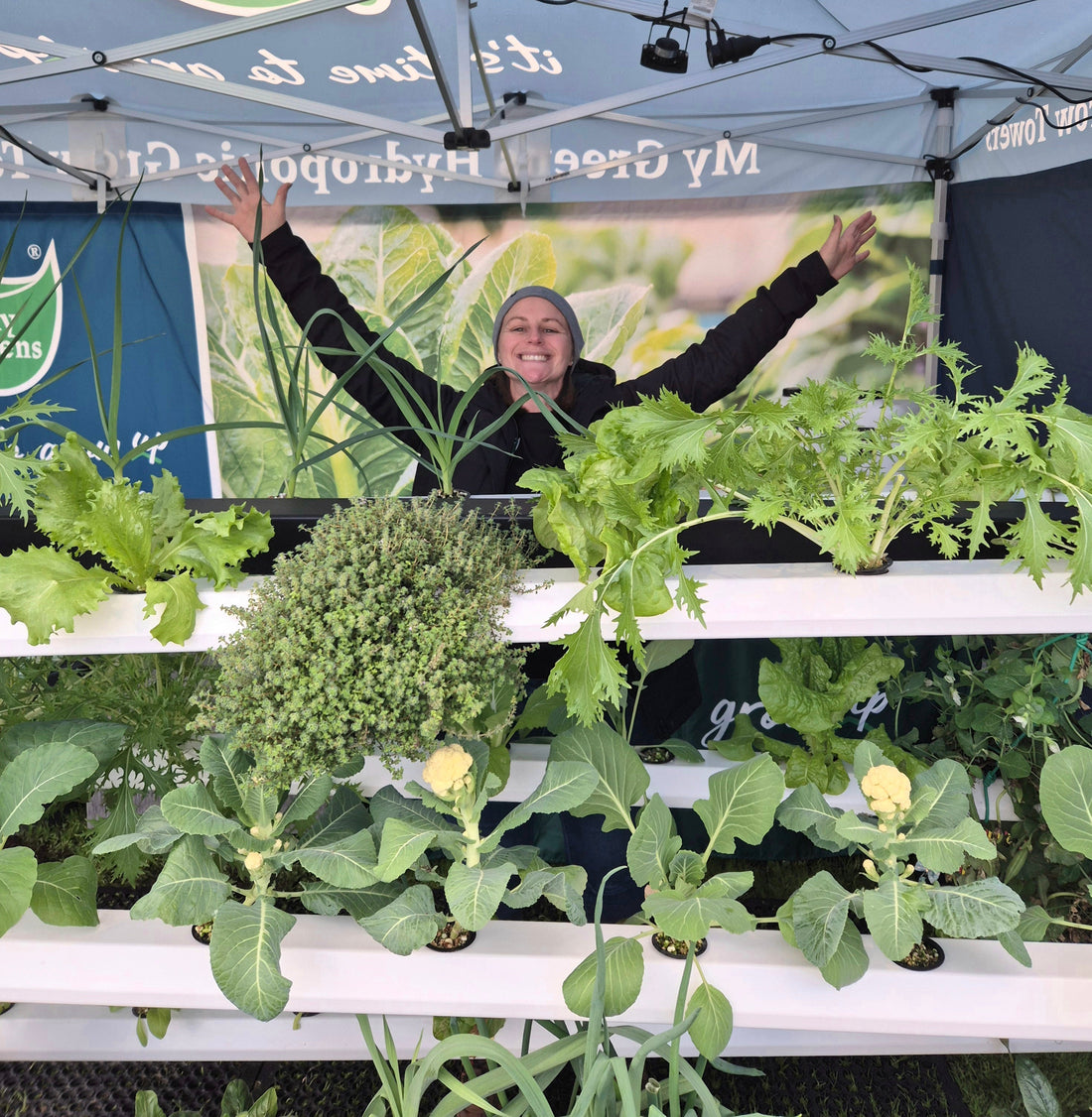 vertical hydroponic tower filled with small leafy greens