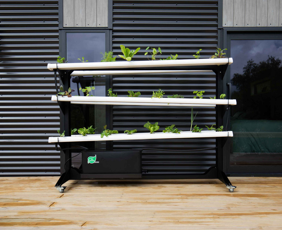 Looking for the BEST hydroponic system in NZ?