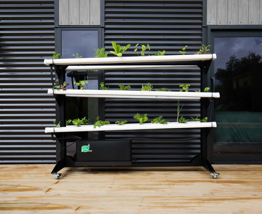 Looking for the BEST hydroponic system in NZ?