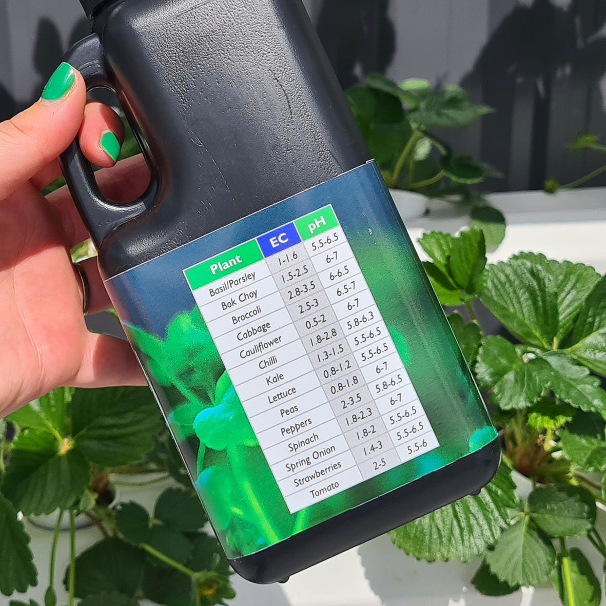 Hydroponic Nutrients - Parts A, B+C