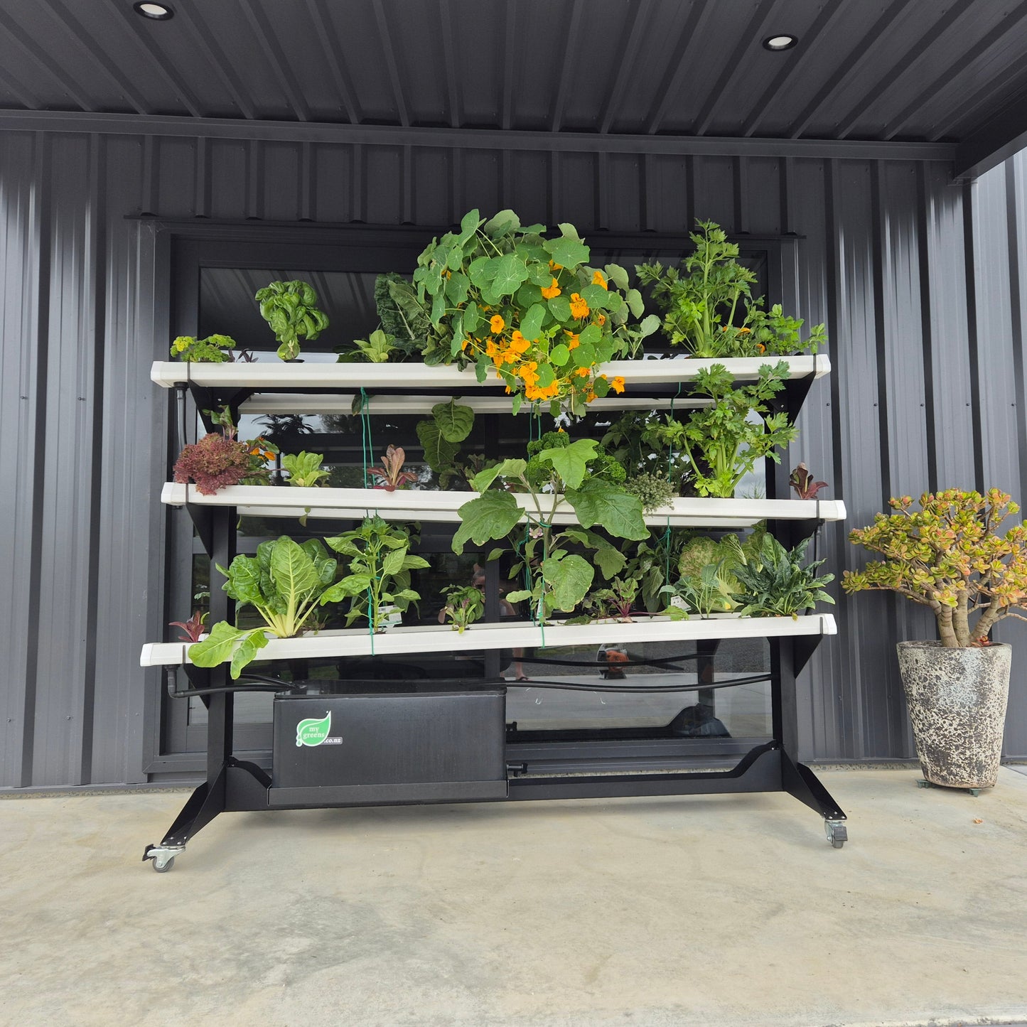 Home Show 2025 Package - expiring soon...