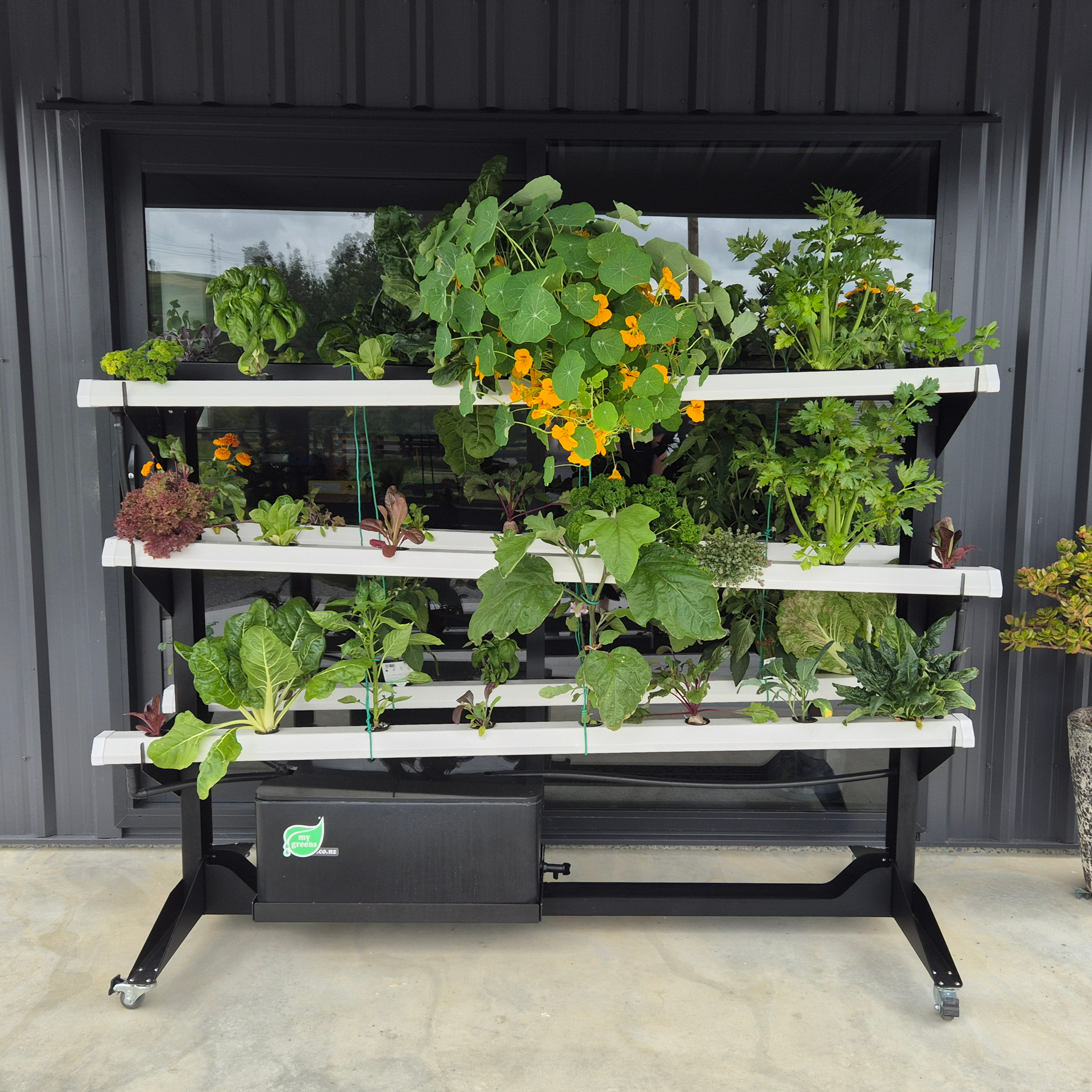 Hydroponic system for home use