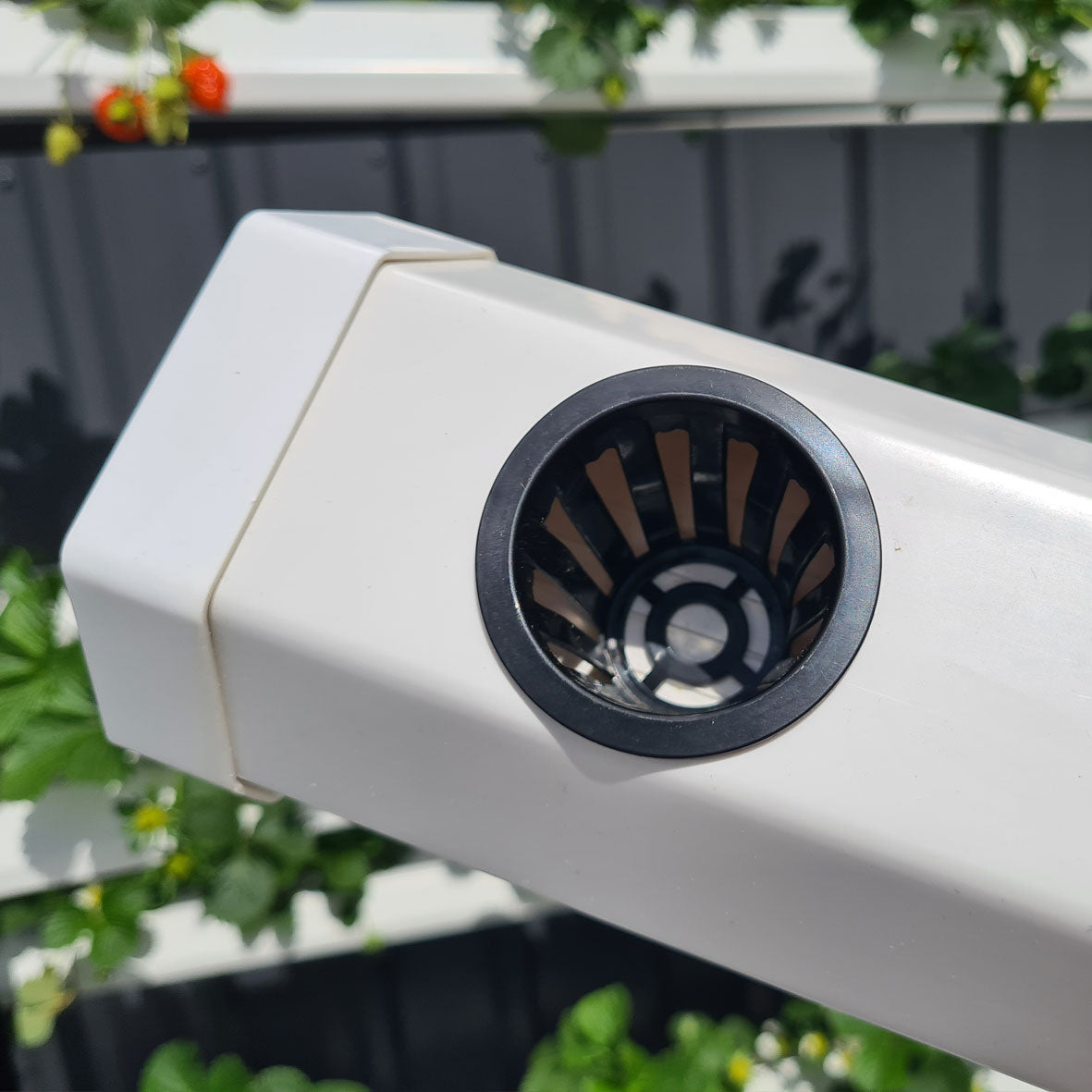 Net cup, net pot, hydroponic net, 50mm net cup, black net pot for hydroponics