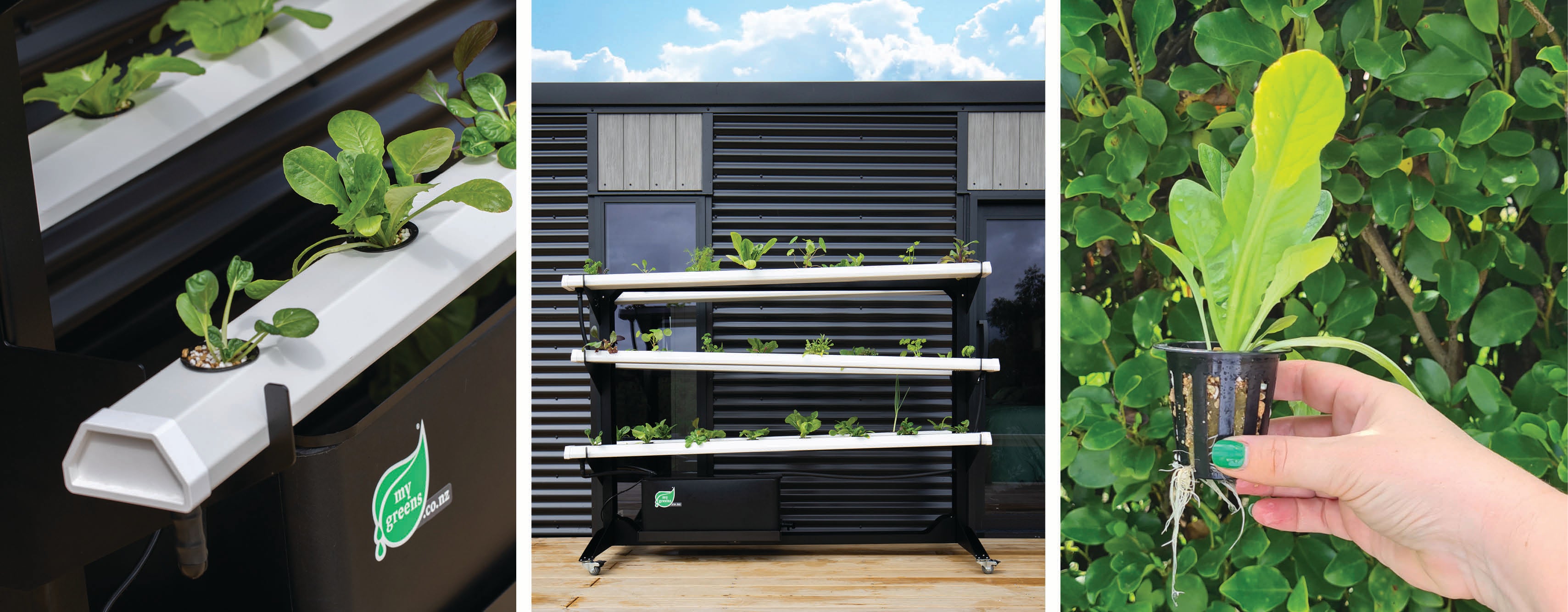 Close up of hydroponic systems