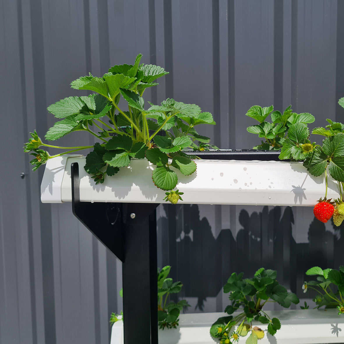 Hydroponic Garden Tower only