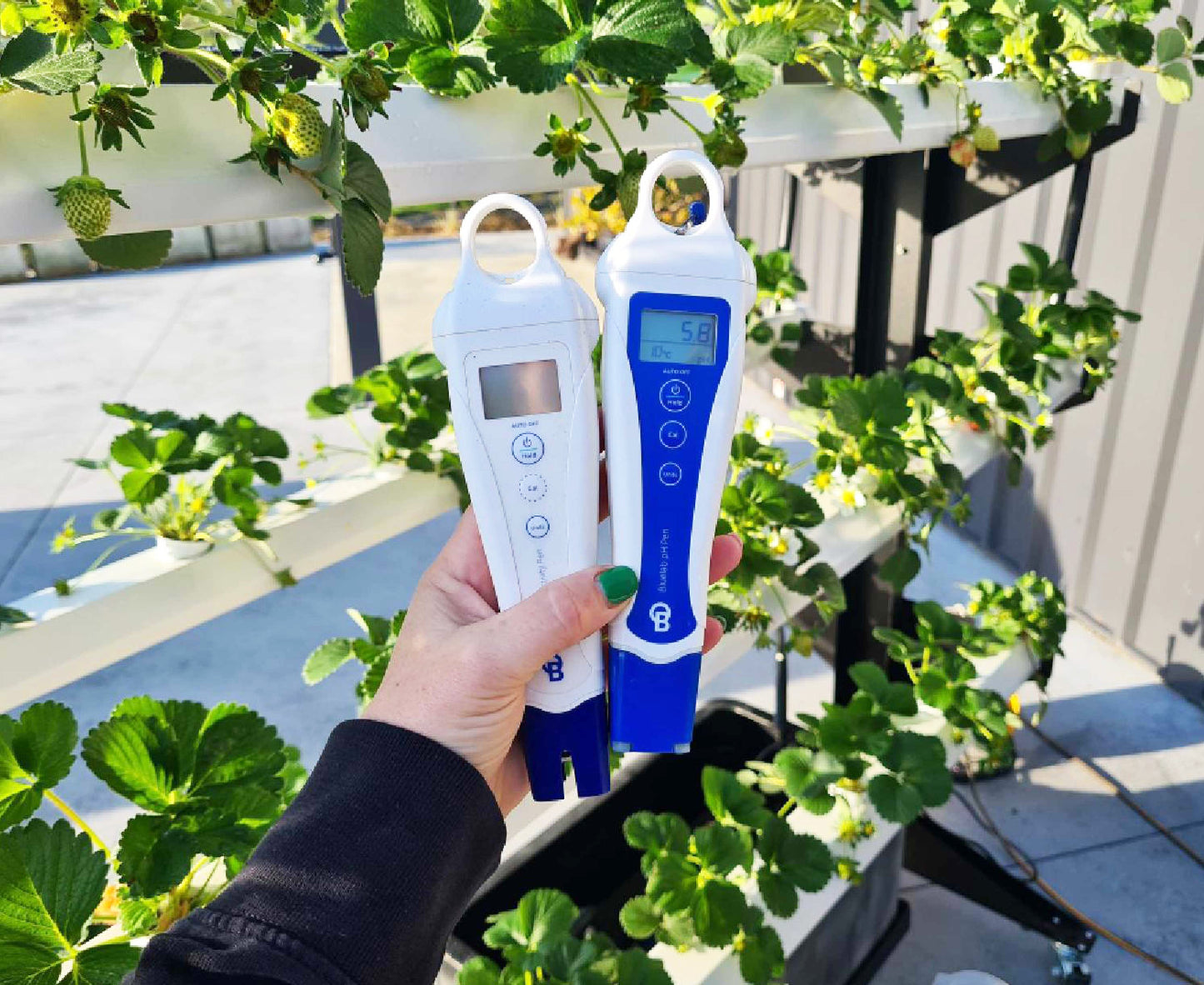 Home Show 2025 Package - expiring soon...