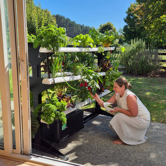 Hydroponic tower for kitchens