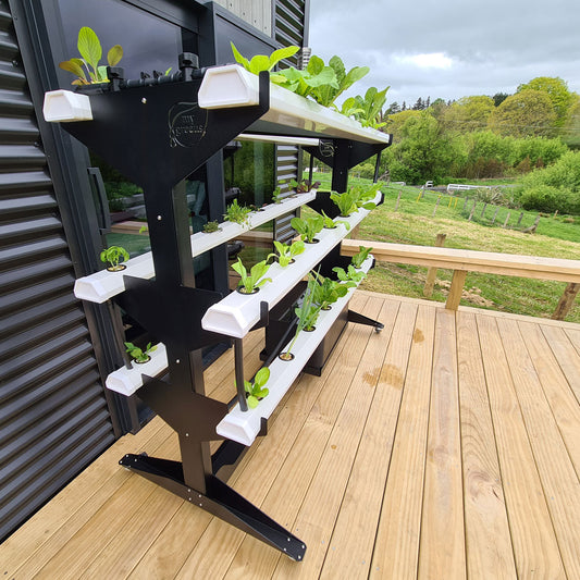 Top 10 Vegetables to Plant in Your Outdoor Hydroponic Tower This September