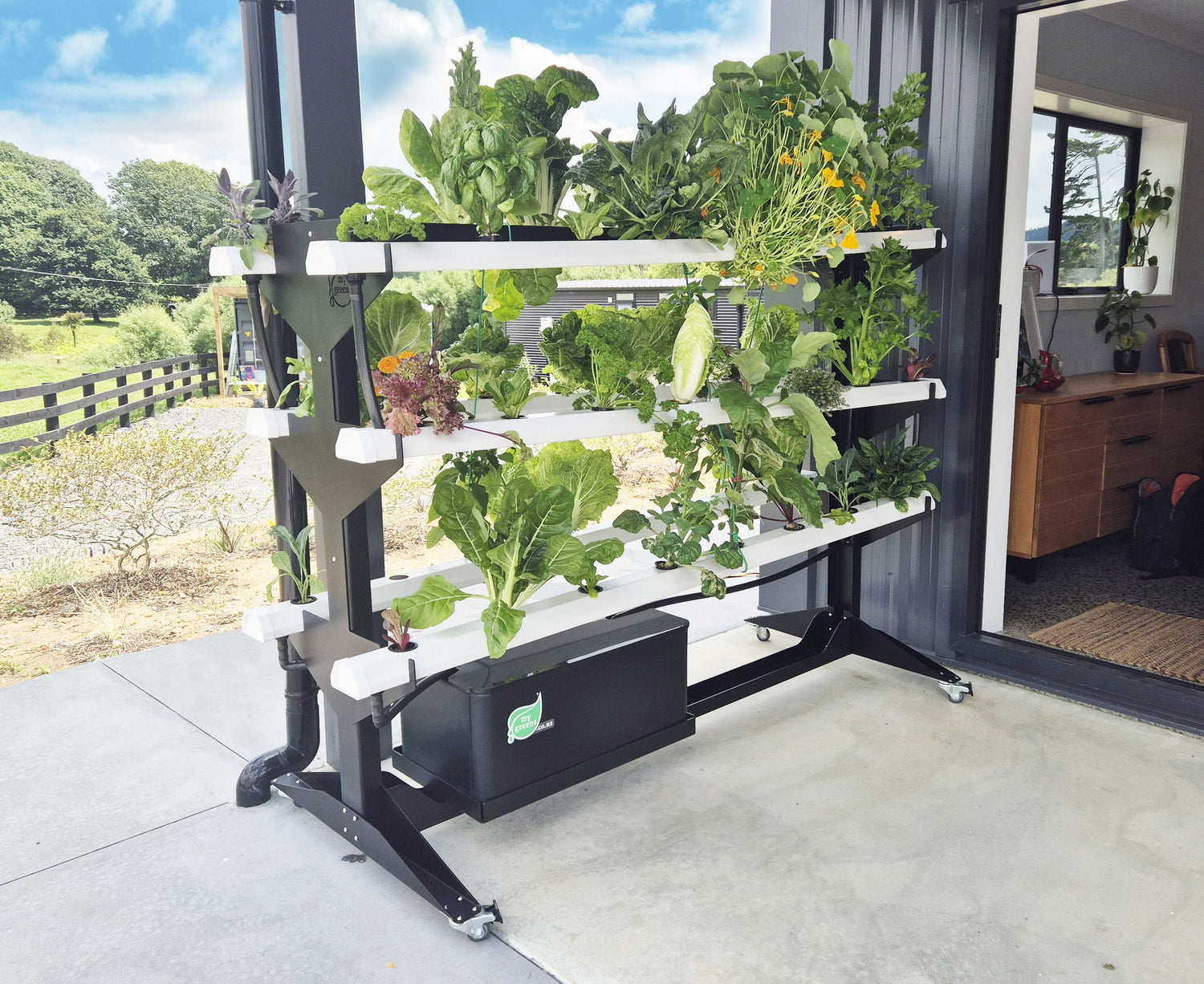 My Greens Hydroponic Tower