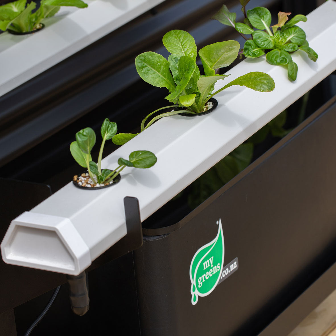 Hydroponic system, hydroponic water reservoir, hydroponic gully, NFT system NZ