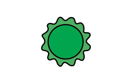 greenhouse hydroponics