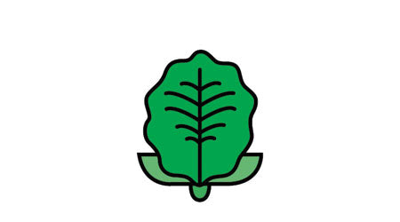 Growing hydroponics in a greenhouse