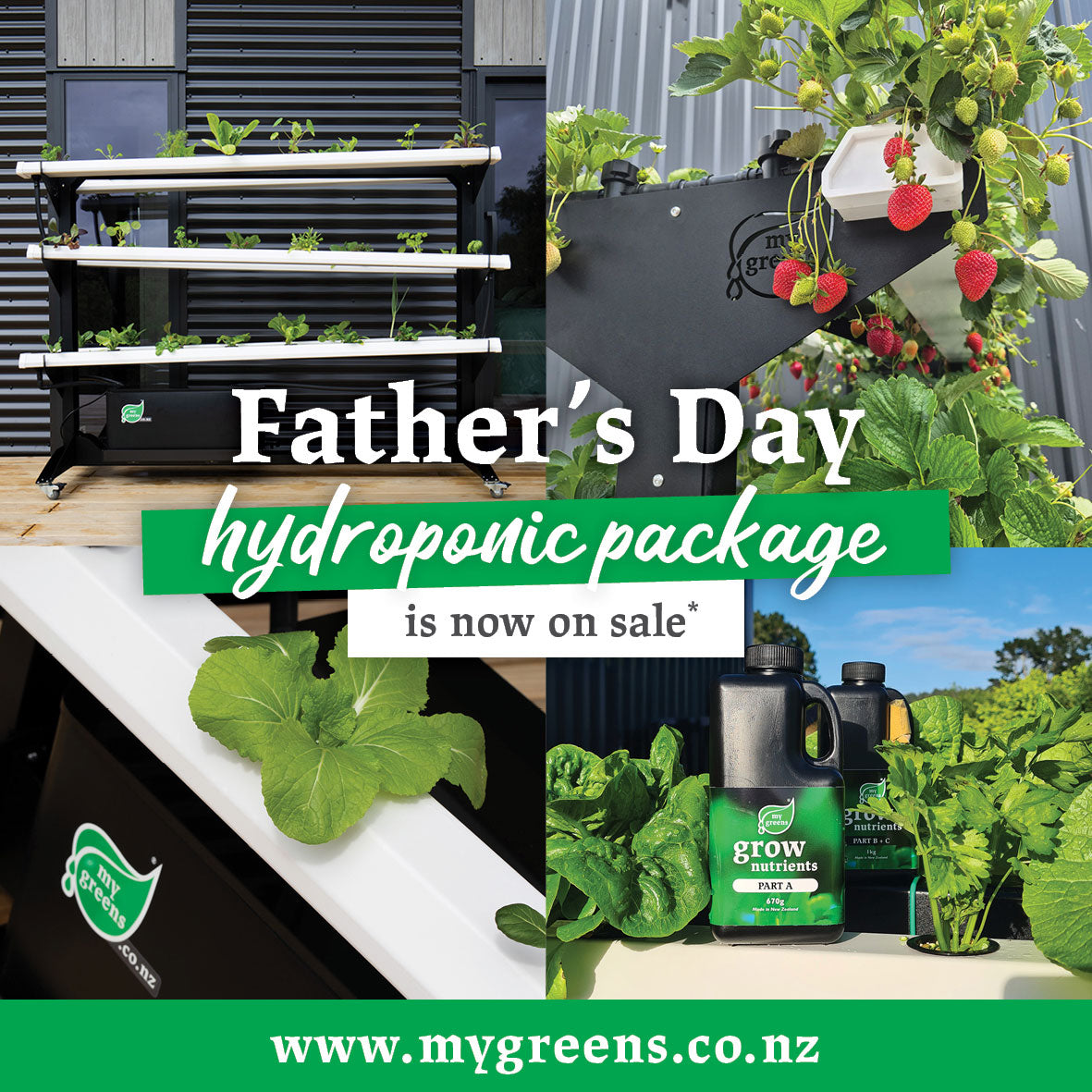 Father's Day 2025 Package