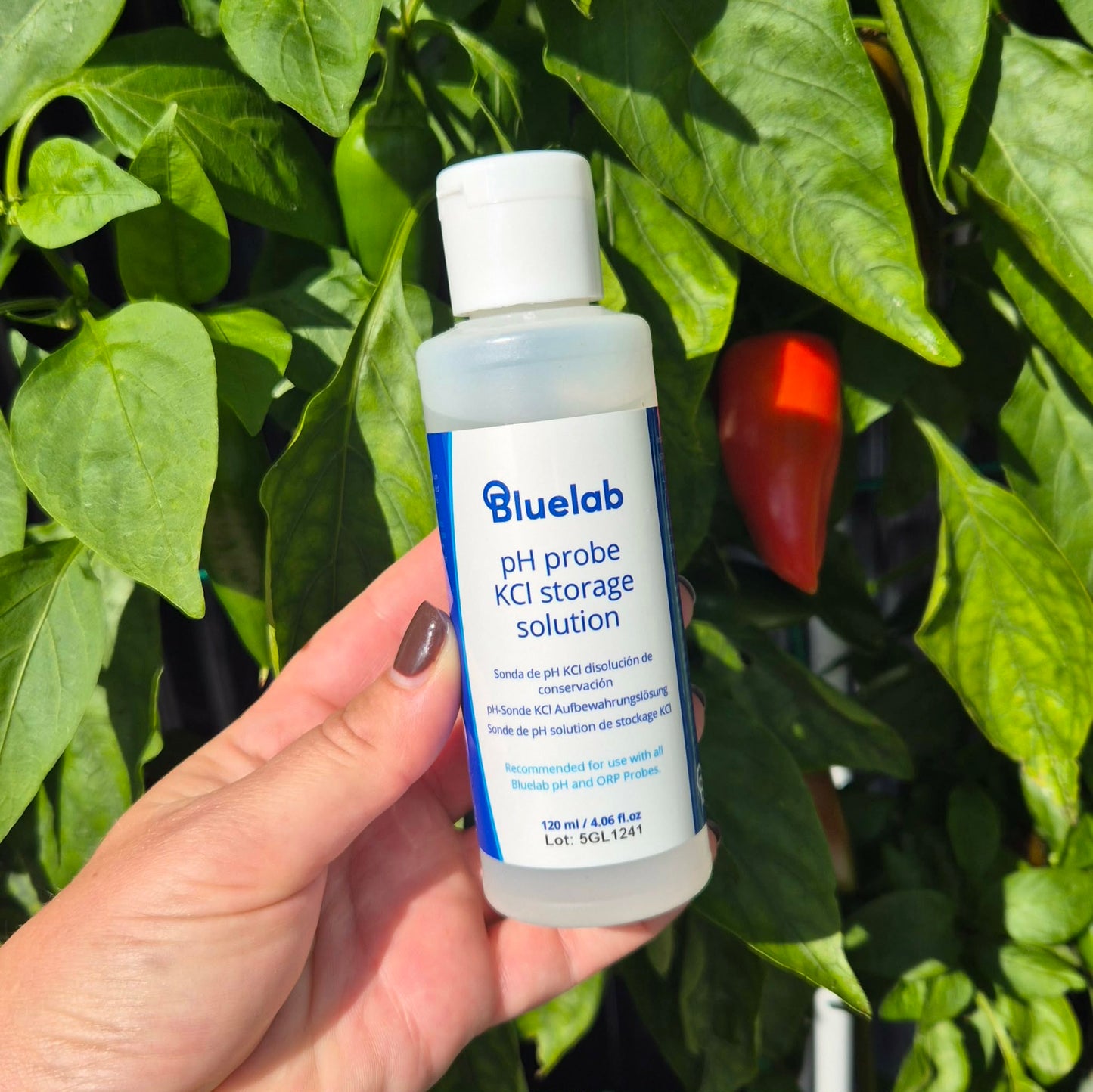 Bluelab probe KCI storage solution