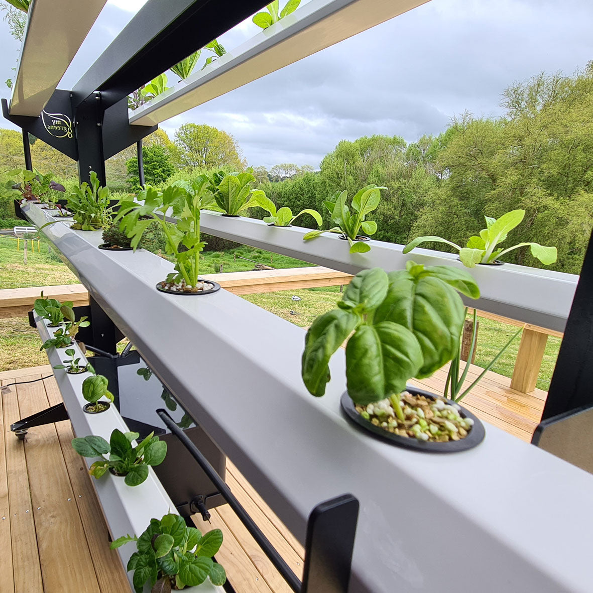 buy-hydroponic-system-cambridge