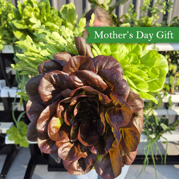 Mother's Day Garden Tower + free gift valued at over $350