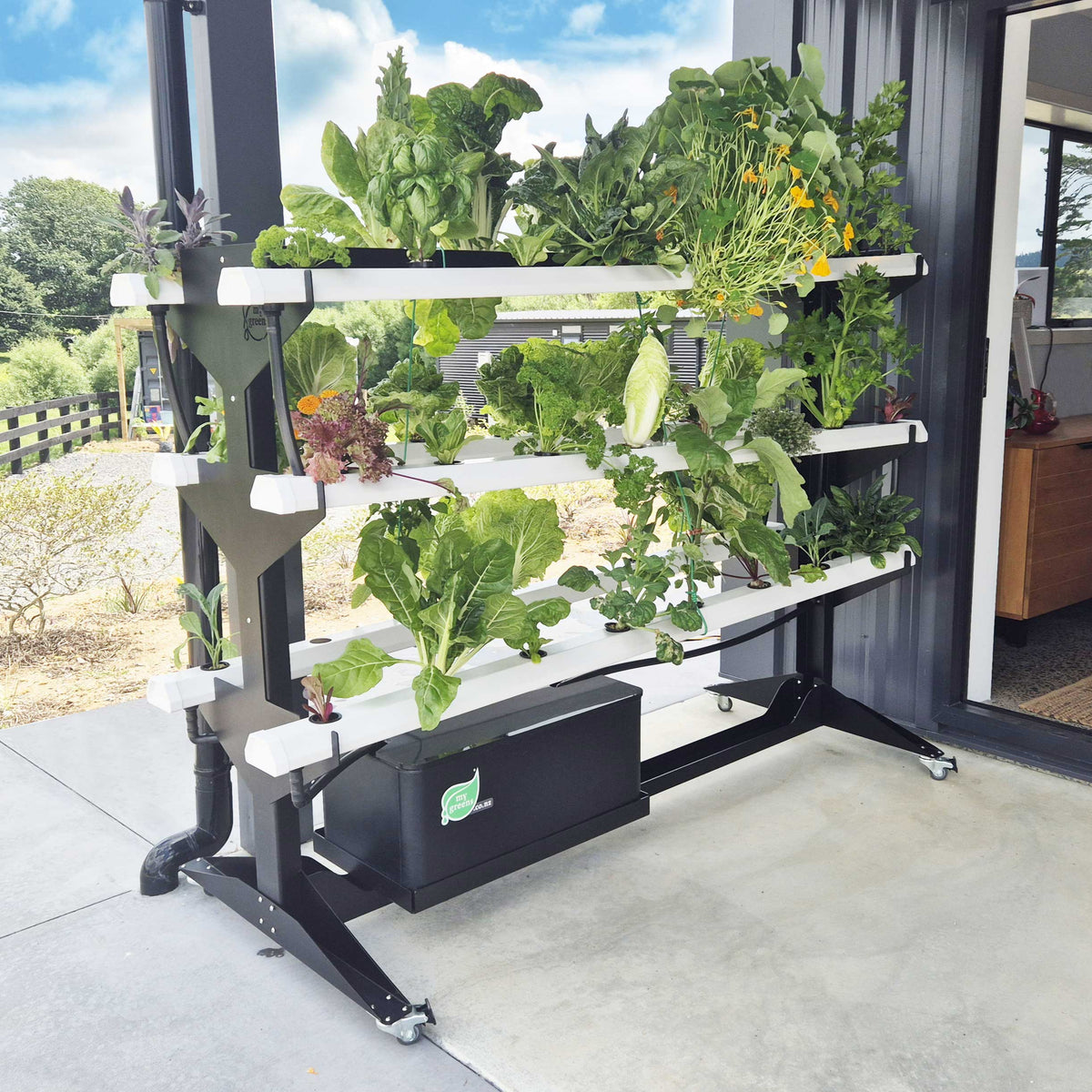 My Greens Outdoor Vertical Hydroponic Tower | 48 Plant NFT System – My ...