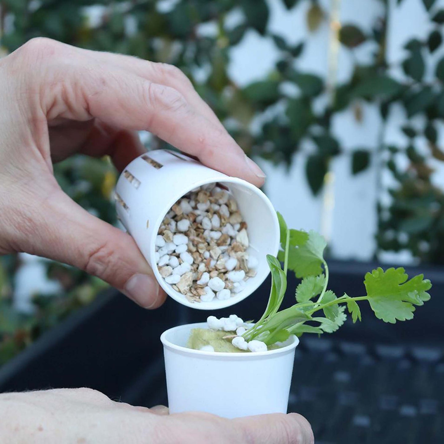 Tipping growing mix into a slotted grow pot.